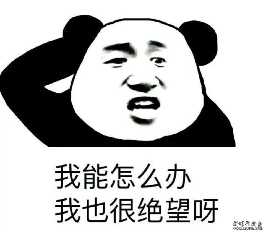2.webp.jpg