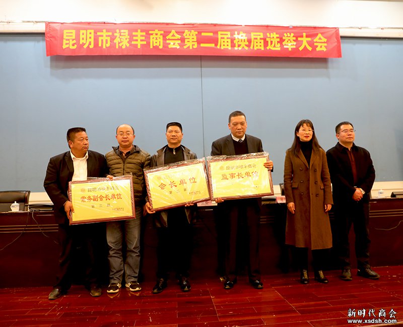 昆明市禄丰商会换届王自成连任会长