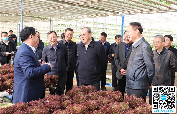 阮成发在曲靖市调研统筹推进疫情防控和经济...