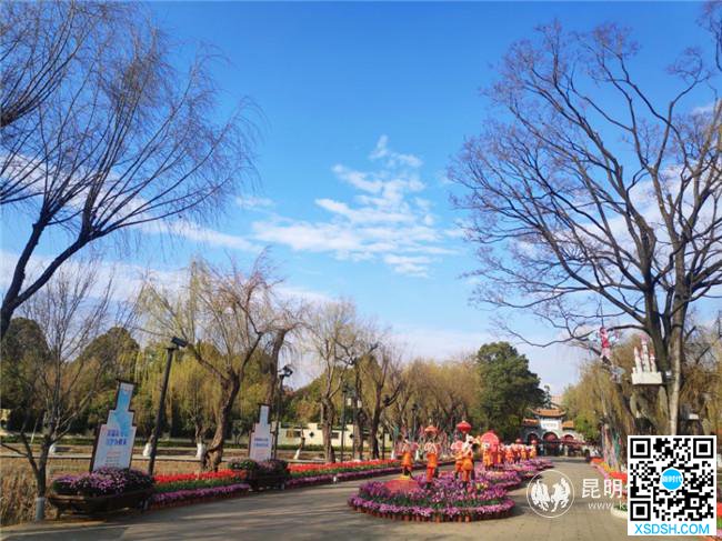 QQ图片20200318170129