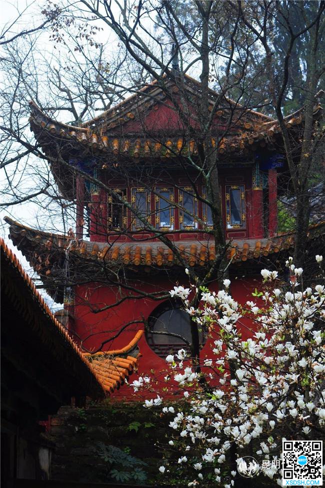QQ图片20200318165927