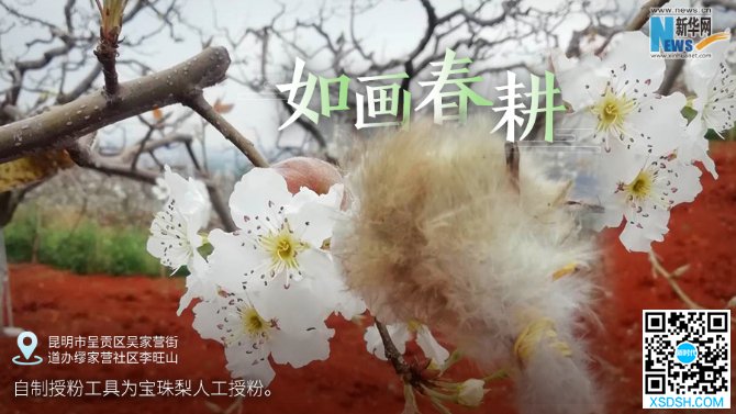 云南：别样春耕图 不负好春光