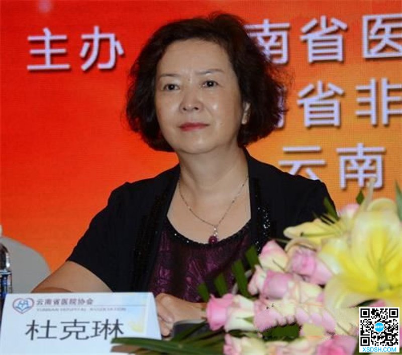 云南省民营医院协会会长杜克琳