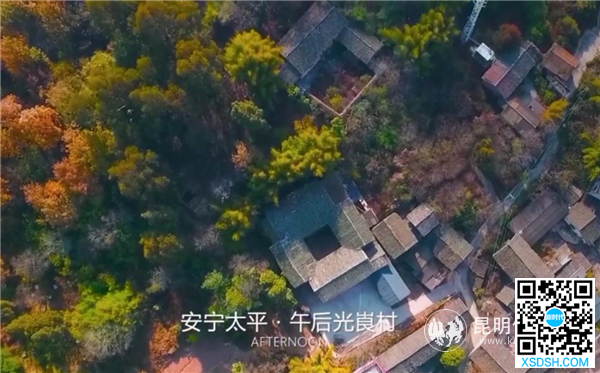 图片3 图片3