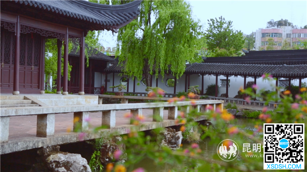 图片9 图片9