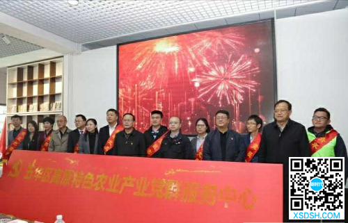 图片1 图片1