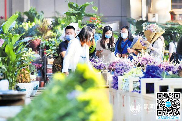 昆明斗南花市回暖