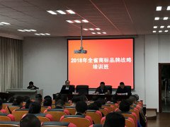 推进商标战略实施 强化知识产权管理与保护