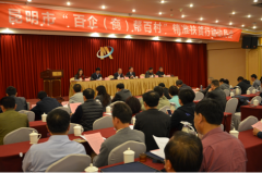 党有号召，民企有行动