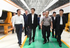 菲律宾政府军与南部反政府武装交火致12人...